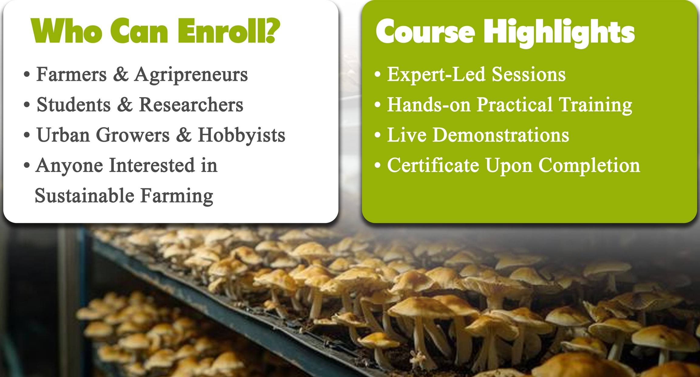 CERTIFICATE COURSE ON MUSHROOM CULTIVATION (Unlock the Potential ofMushroom Farming)