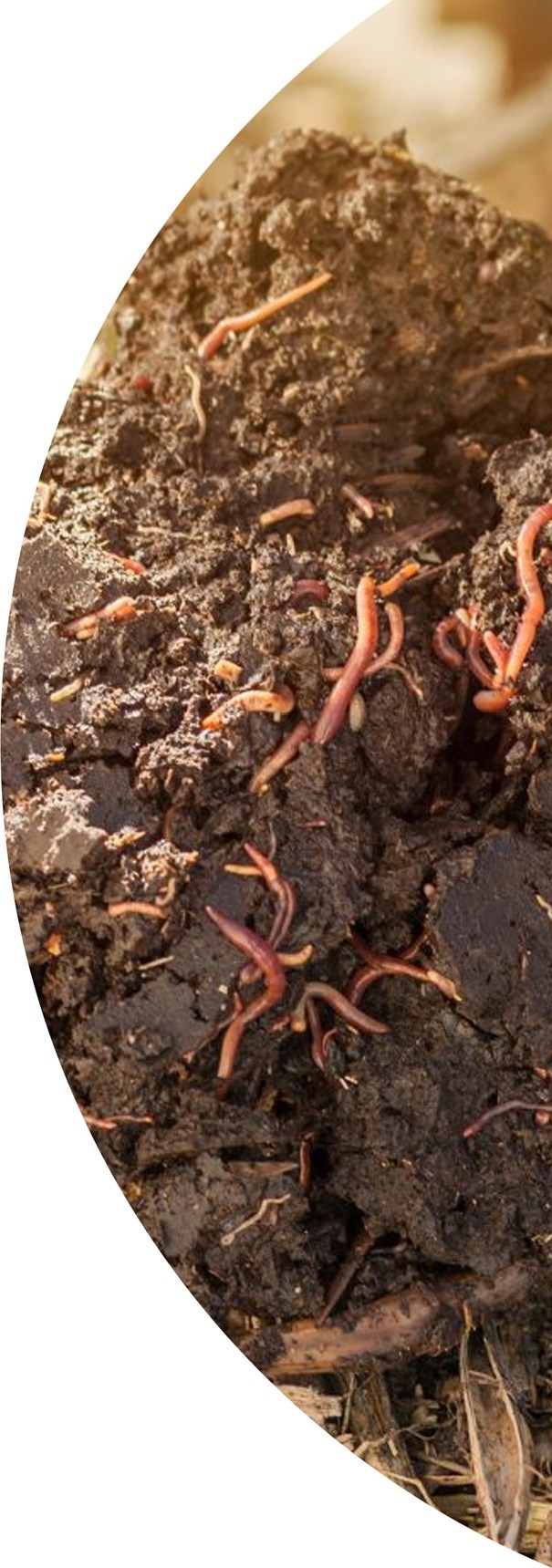 CERTIFICATE COURSE ON VERMICOMPOST(Empowering Sustainable Agriculture through Organic Solutions)